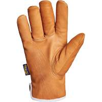 Endura&reg; Gloves, Large, Synthetic Palm, Thinsulate Inner Lining Duraquip Inc