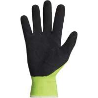 Dexterity&reg; Coated Gloves, 10, Latex Coating, 13 Gauge, Polyester Shell Duraquip Inc