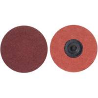 Lock Back Sanding Discs