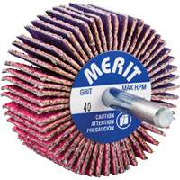 Mini-meule &agrave; lamelles mont&eacute;e sur tige, C&eacute;ramique d'alumine, Grain 40, 2" x 1" x 1/4" Duraquip Inc