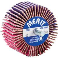 Mini-meule &agrave; lamelles filet&eacute;es, C&eacute;ramique d'alumine, Grain 40, 2" x 1" x 1/4"-20 Duraquip Inc