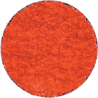 Blaze R980P Quick-Change Cloth Disc, 2" Dia., 36 Grit, Ceramic Alumina Duraquip Inc