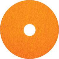 BlazeX F980 Fiber Disc, Ceramic Alumina, 36, 5" Dia x 7/8" Arbor Duraquip Inc