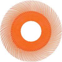 Brosse radiale en soies de pr&eacute;cision type C PN-RB sans adaptateur Scotch-Brite , C&eacute;ramique, Grain 80+, 6" dia. Duraquip Inc