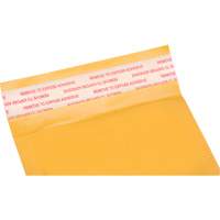 Enveloppes postales coussinées, Kraft, 4" la x 8" lo PG240 | Duraquip Inc