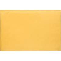Enveloppes postales coussinées, Kraft, 12-1/2" la x 19" lo PG246 | Duraquip Inc