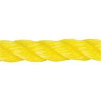 Braided Yellow Rope, Polypropylene, 144' Duraquip Inc