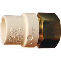 Threaded Pipe Adapter, Hub x FPT, 1" Dia., Brass/CPVC Duraquip Inc