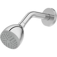 Pommes de douche  