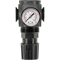Regulator with Gauge Modulair 300, 1/4" NPT, 300 psi Max. PSI, In Line/Modular Duraquip Inc