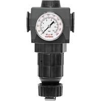 Regulator with Gauge Modulair 400, 3/4" NPTF, 125 PSI Max. PSI, In Line/Modular Duraquip Inc