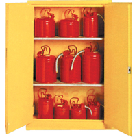 Armoires de sécurité isolées pour produits liquides inflammables, 30 gal., 2 Porte(s), 44" La x 45" h x 19" p SA087 | Duraquip Inc