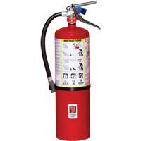 Fire Extinguisher, ABC, 10 lbs. Capacity Duraquip Inc