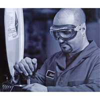 Lunettes de s&eacute;curit&eacute; &agrave; coques Uvex Flex Seal, Lentille 3,0, Antibu&eacute;e, Ventilation Indirecte Duraquip Inc