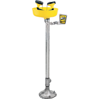Eyewash Station, Pedestal Installation, Plastic Bowl Duraquip Inc