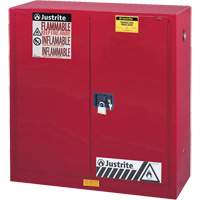 Sure-Grip&reg; EX Combustibles Safety Cabinet for Paint and Ink, 40 gal., 3 Shelves Duraquip Inc