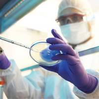 Kimtech Examination Gloves, X-Large, Nitrile, 6-mil, Powder-Free, Purple, Class 2 Duraquip Inc