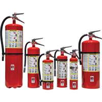 Fire Extinguisher, ABC, 30 lbs. Capacity SED110 | Duraquip Inc