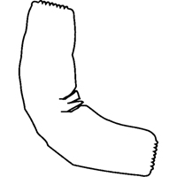 Manchettes, Longueur de 18", Tyvek 400, Blanc Duraquip Inc