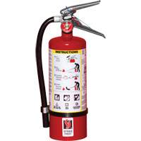 Fire Extinguisher, ABC, 5 lbs. Capacity Duraquip Inc