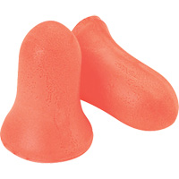 Howard Leight Maximum Earplugs, Bulk - B Duraquip Inc