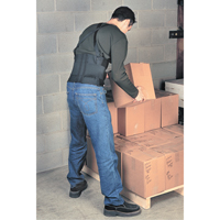 Bodybelt, Elastic, Small Duraquip Inc