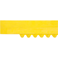 Rampe de bordure pour tapis Duraquip Inc