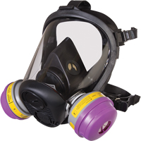 Respirateur &agrave; masque complet de s&eacute;rie RU6500 de North, Silicone, Petit Duraquip Inc
