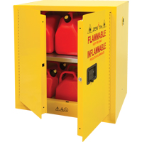 Flammable Storage Cabinet, 22 gal., 2 Door, 35" W x 35" H x 22" D Duraquip Inc