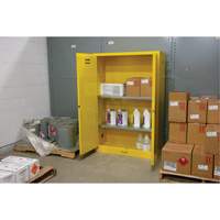 Armoire pour produits inflammables, 45 gal., 2 Porte(s), 43" La x 65" h x 18" p SDN647 | Duraquip Inc