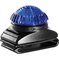 Guardian Warning Light, Continuous/Flashing, Blue Duraquip Inc