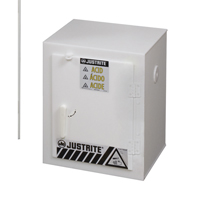Solid Polyethylene Acid Cabinets, 6 x 0.66043 Gal., 17" x 22" x 17" Duraquip Inc