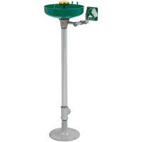 Axion&reg; Eye/Face Wash Station, Pedestal Installation, Plastic Bowl Duraquip Inc
