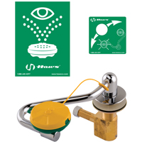 Eye/Face Wash Station, Sink Mount Installation Duraquip Inc