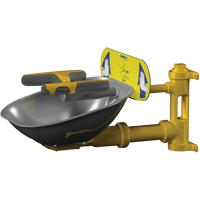 Postes de douche oculaire/faciale Halo, Installation Montage mural, Bol Acier inoxydable Duraquip Inc