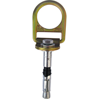 PRO Concrete D-ring Anchor with Bolt, Concrete/D-Ring, Permanent Use Duraquip Inc