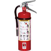 Fire Extinguisher, ABC, 5 lbs. Capacity SED109 | Duraquip Inc