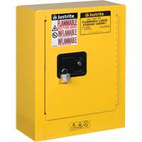 Mini-armoires de sécurité Sure-Grip<sup>MD</sup> EX pour produits inflammables, 2 gal., 1 Porte(s), 17" La x 22" h x 8" p SEG862 | Duraquip Inc