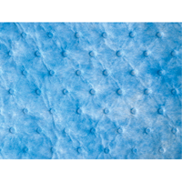 Balayage absorbant pour huile seulement Duraquip Inc