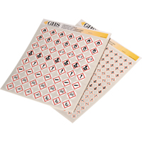 GHS Hazard Pictogram Label Variety Packs, Vinyl, Sheet, 1/2" L x 1/2" W Duraquip Inc
