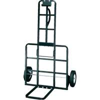 Chariot de s&eacute;curit&eacute; pour postes de douche oculaire Duraquip Inc