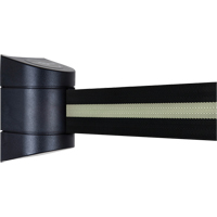 Unit&eacute;s murales Tensabarrier, Plastique, Fixation par vis, 15', Ruban Noir Duraquip Inc