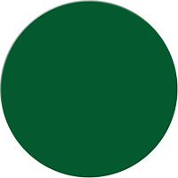 Marqueurs all&eacute;g&eacute;e/5S Armor Stripe, Cercle, 6" lo x 6" la, Vert, Plastique Duraquip Inc