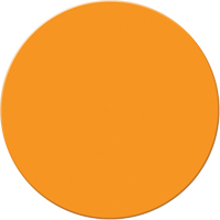 Marqueurs all&eacute;g&eacute;e/5S Armor Stripe, Cercle, 6" lo x 6" la, Orange, Plastique Duraquip Inc