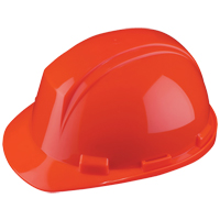 Casque Mont-Blanc de North, R&eacute;pond aux normes CSA type 2, Suspension Rochet, Non ventil&eacute; Duraquip Inc