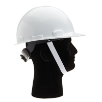 Dynamic 2 Point Hardhat Chinstrap Duraquip Inc