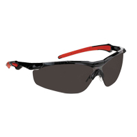 Lunettes de s&eacute;curit&eacute; s&eacute;rie Hawk Dynamic, Lentille Fum&eacute;e, Antibu&eacute;e, ANSI Z87+/R&eacute;pond ou surpasse la norme CSA Z94.3 Duraquip Inc