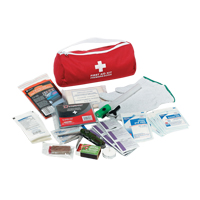 Dynamic Car First Aid Kit, Class 1 Medical Device, Nylon Bag Duraquip Inc