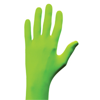 N-Dex&reg; Gloves, Small, Nitrile, 5-mil, Powder-Free, Green Duraquip Inc