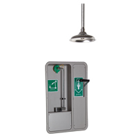 Eye/Face Wash and Shower, Ceiling-Mount SGC292 | Duraquip Inc
